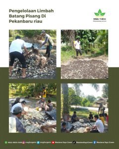 Pengelolaan Limbah Batang Pisang Daerah Pekanbaru Riau