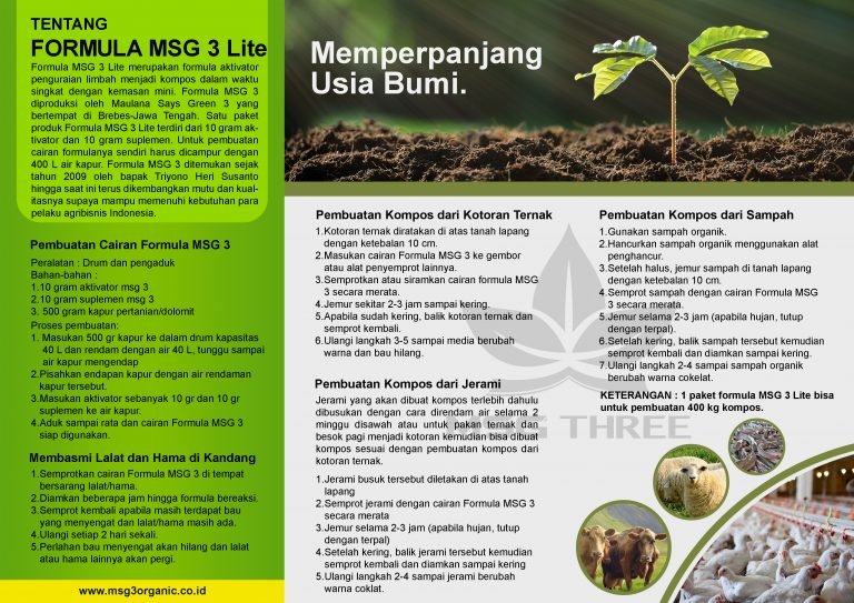 Formula MSG3 Lite - Gambar 3