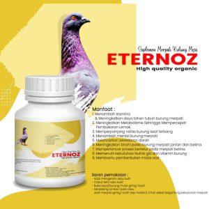 Eternoz suplemen burung dara