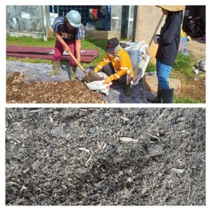 Proses Pembuatan Kompos Daerah Bontang Kalimantan Timur Oleh Pak Dwi Dally