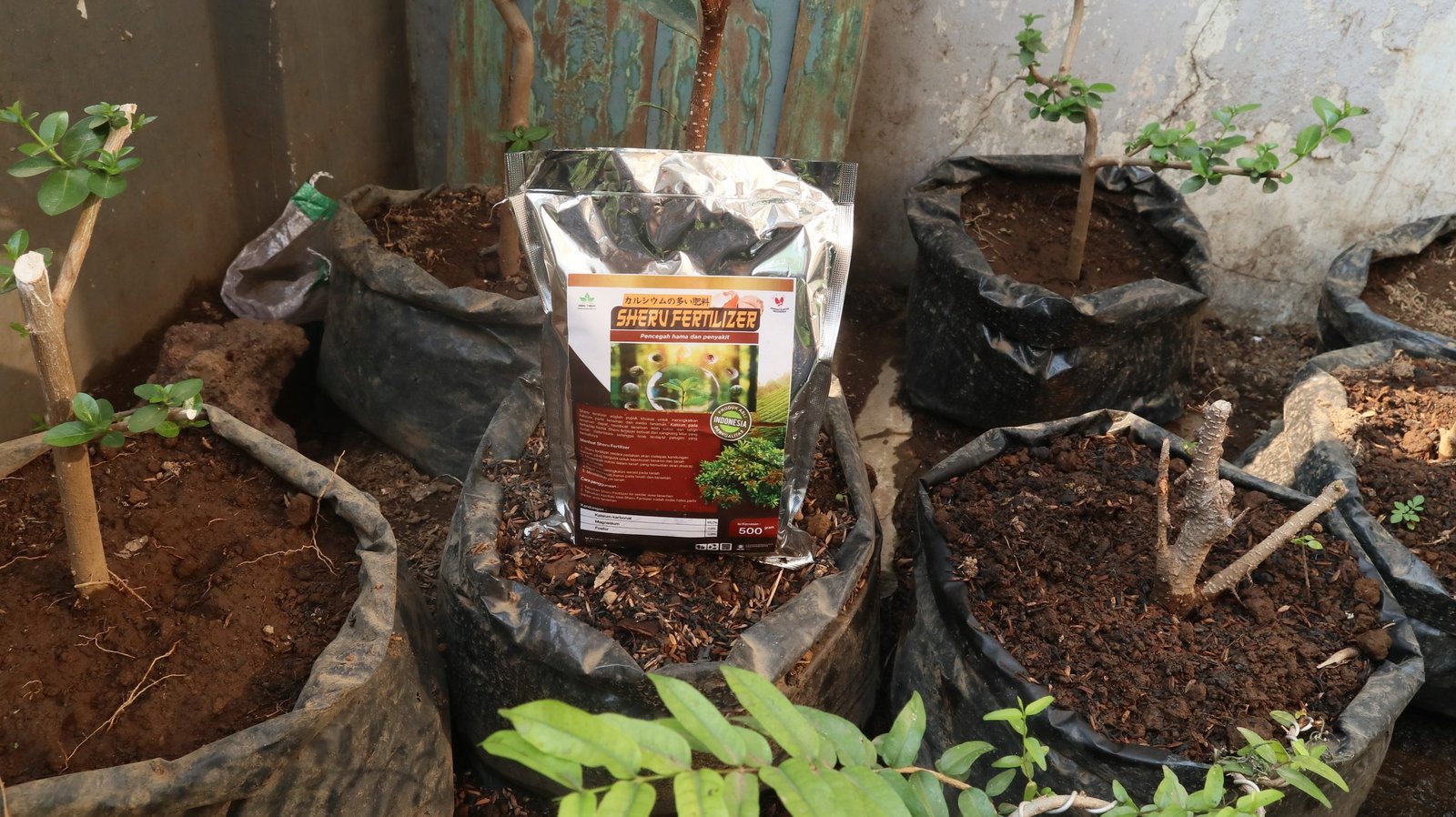 Sheru Fertilizer MSG3 - Gambar 3