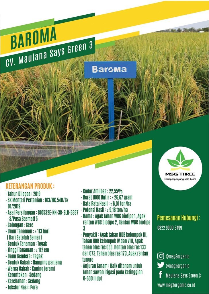 Baroma