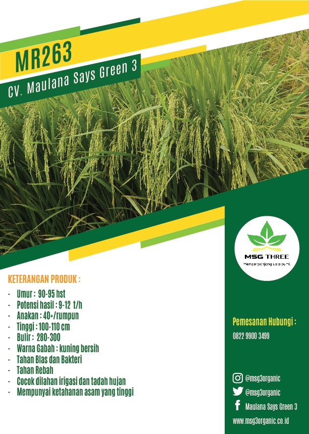 Benih-Padi-MR263