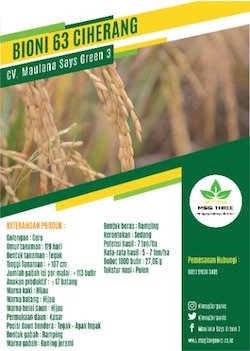 Bioni 63 Ciherang thumb