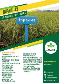Inpari 45 thumb