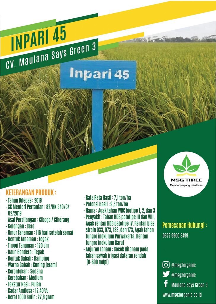 Inpari 45