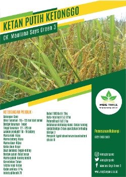 Ketan Putih Ketonggo thumb