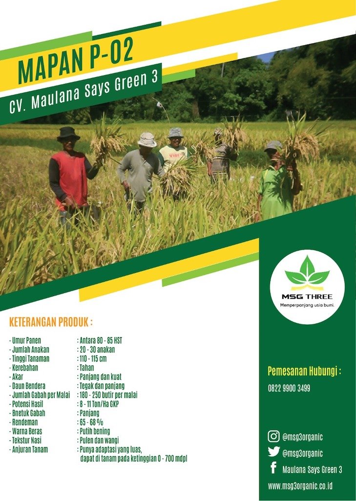 Mapan P-02