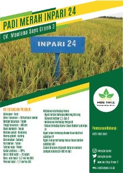Padi Merah Inpari 24 thumb