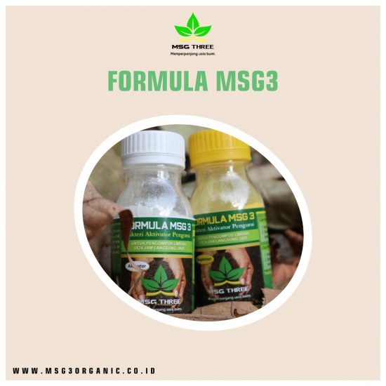 formula msg 3