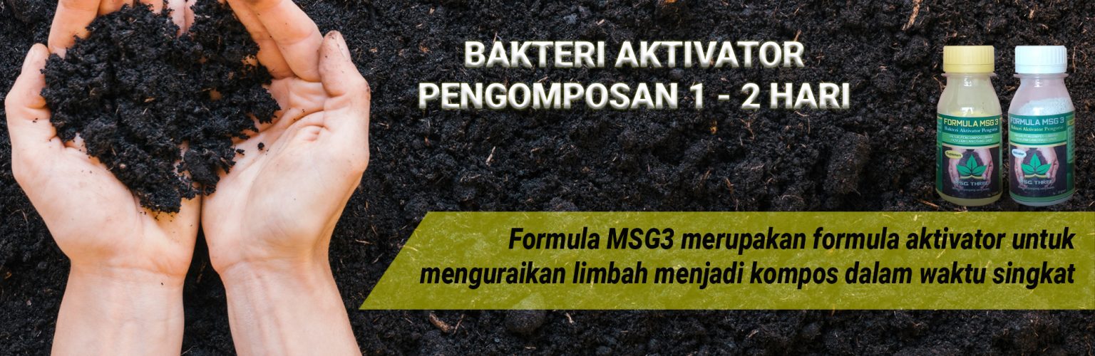 formula msg 3 (2)